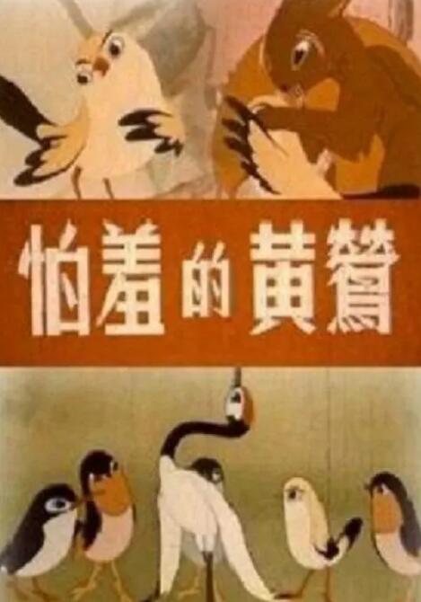 韩国恋足丨vk