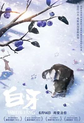 影音先锋加勒比