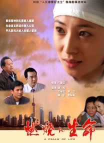 国产69久久精品成人看